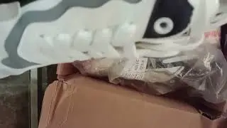 Panarybody ASMR | Unboxing Sepatu dengan Suara Asli