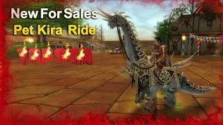 VSRO New Pet Kira 🔥 [ Selling ]🔥 Silkroad Online 3D