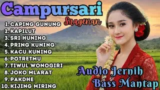 Campursari Sragenan Audio Jernih Pas Buat Temani Aktivitas #campursari #sragenan #capinggunung