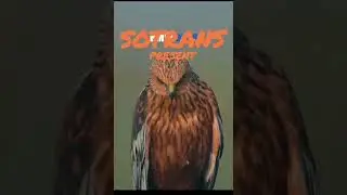 Commercial1