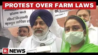 Akali Dal Protests Against Farm Laws Outside Parliament As Monsoon Session Begins | Republic TV