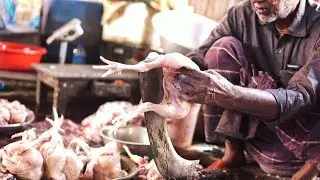 chicken cutting Video 