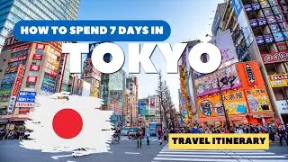 Is 7 Days in Tokyo ENOUGH for a First-Timer?