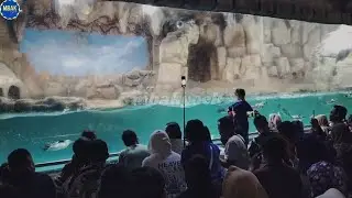 Burung Ini Ternyata Indah Sekali@mbakyoek 