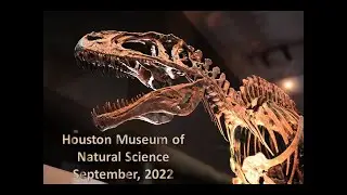 Houston Museum of Natural Science - POV Tour of the Morian Hall of Paleontology - September 2022