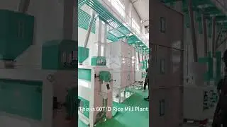 customer visit our 60t per day rice mill machine