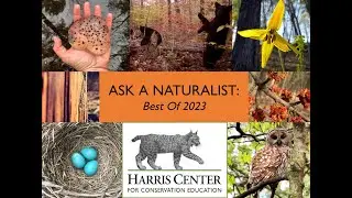 Ask A Naturalist: Best of 2023