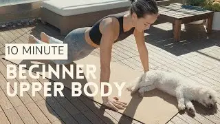 BEGINNER UPPER BODY WORKOUT - Foundational exercises, form cues, no equipment | Dr. LA Thoma Gustin