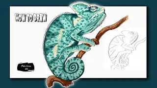 How to Draw a Chameleon
