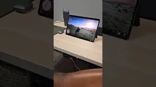 Red Dead Redemption 2 на PS5 Remote Play