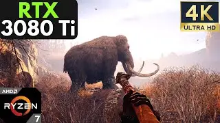 Far Cry Primal: RTX 3080 Ti + Ryzen 7 5800X | 4K | Ultra Settings