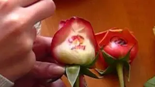 multifunctional flower printer  &pi;&omicron;&lambda;&upsilon; - &epsilon;&kappa;&tau;&upsilon;&pi;&omega;&tau;έ&sigmaf;