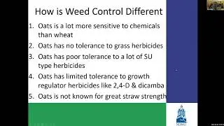 Crop Hour: Weed Control Different in Oats than Other Small Grain & Are There Insect Pests of Oats?