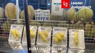 Bangkok Fruit Market: Hunting for the Best Durian Durian in Thailand: King of Fruits Experience 