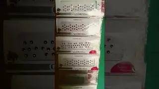 bindi collection