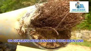 Mr. Sewer | #1 Sewer Cleaning & Sewer Repair in New Jersey | 24/7 Emergency Service