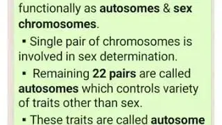 Autosomal Inheritance... Widow's Peak & Phenylketonuria