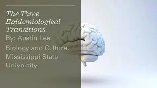 The Three Epidemiological Transitions