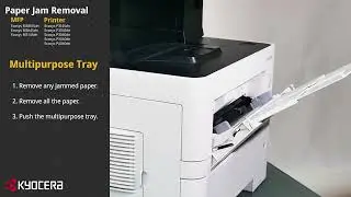 Paper Jam Removal  (M3860idn, M3645dn, M3145dn,  P3145dn, P3045dn, P3050dn, P3060dn, P4040dn)
