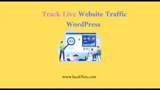 Track Live Traffic WordPress Website 2021   Live Website Traffic Check 