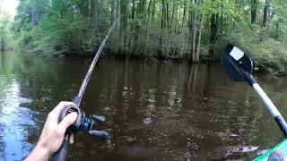 Здесь можно поймать рыбу раз в жизни, спасибо Господи 🙏 #gopro #theminnow007 #bass #fishing #vlog...