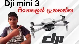 Drone ගැන කෙටියෙන් දැනගන්න 🛸✈️😍😀#sldrone#duleena'sworld#djimini3#trend#😍