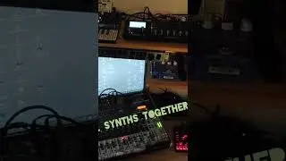 A DAWless synth jam called 
