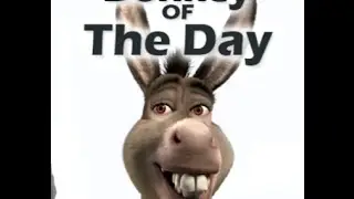 JayTechTv, you sir are the Donkey of the Day. You thought y'all were buddies huh? lol