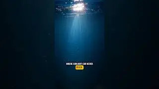 The Mariana Trench Mystery Explained | Explores | Blue Fable |fable |fableblue |@BlueFable7 |fishing