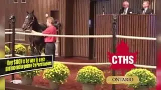 Canada Yearling Sales Ad