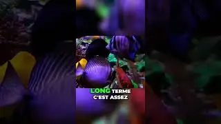Des poissons, des nitrates, des phosphates, la vraie vie d'un r&eacute;cifaliste 😄