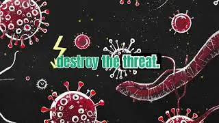 Immune System 101: How Your Body Fights Off Invaders