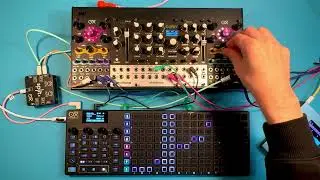 Jamuary 2026 Day 3: Oxi Coral Ohmforce Bohm