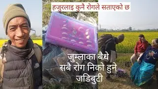 के हजुर रोगबाट छुटकारा पाउन चाहानु हुन्छ? video नछुटाइ हेर्नु होला।