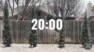 Winter Trees 20 Minute Timer (With Lofi Music)