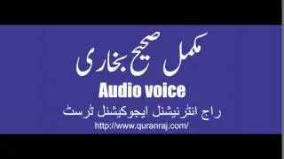 Sahih Bukhari Hadees No 3299
