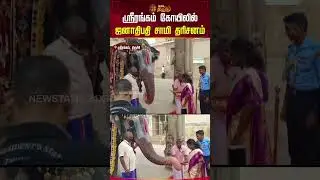 ஸ்ரீரங்கம் கோயிலில் ஜனாதிபதி சாமி தரிசனம் | Droupadi Murmu |  Srirangam&nbsp;|&nbsp;Trichy