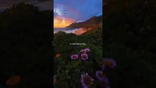 Darkhaast 💗✨ || Tu Meri Baho Me Duniya Bhula De || WhatsApp Status || #lyrics #shorts #viral