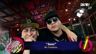 STUDIO BITT| MR. CAMALEON