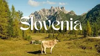 This Is What Makes Slovenia Feel Like A Dream | Relaxing Nature