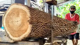 Unexpected beauty prized very expensive Asian teak wood in sawmill