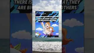 #onepiece #yonji #niji #nami