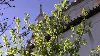 Колокольный звон в Троице-Сергиевой Лавре