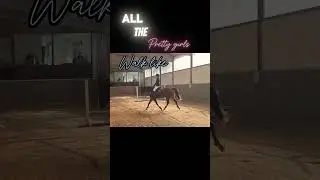 Siegerehrung Springen🥉❤️ #horse #equestrian #viralvideo #love #fyp #turnier #heart #filou #jumping