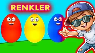 Renkleri öğren okul öncesi eğitimi 🎨