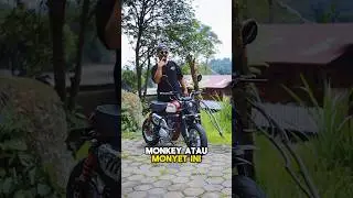 Honda monkey basic magapro wa 087775643342 #hondamonkey #monkeybike #minibike
