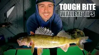Catch Walleyes When the Bite is TOUGH (ft. @tjericksonfishing 🔨)