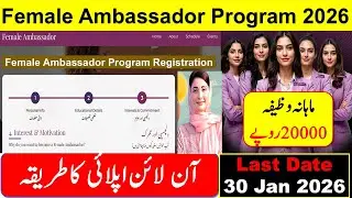 Female Ambassador Program 2026 | How to Apply for Female Ambassador Program | CM Punjab