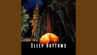 Sleepy Vibes