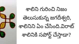 శాలిని గురించి జగదీశ్వరికి ఎలా తెలిసింది?